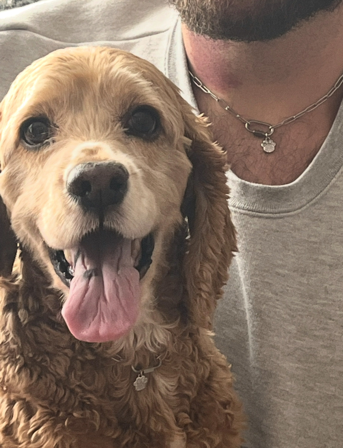 Silver Paperclip Pet/Human Necklace