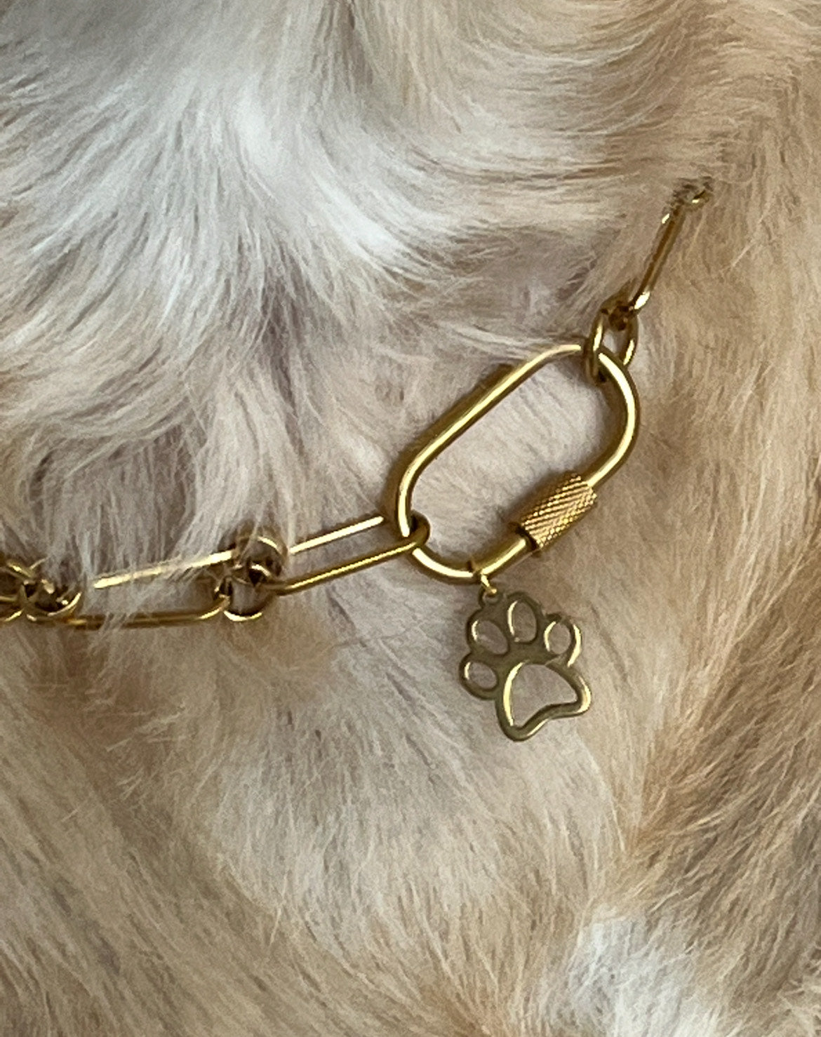 Gold Paperclip Pet/Owner Necklace