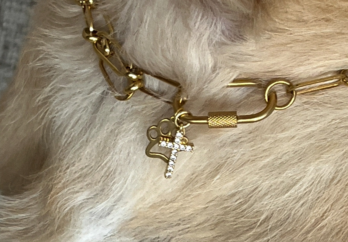 Gold Paperclip Pet/Owner Necklace