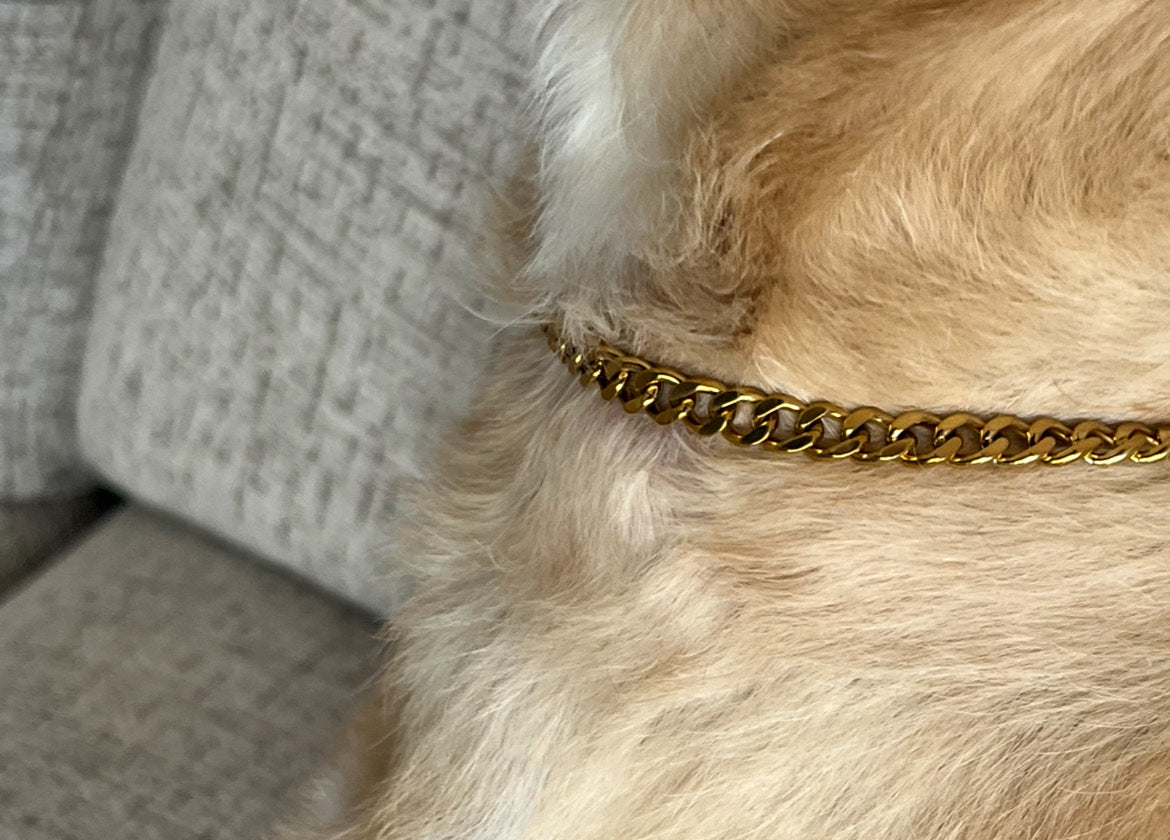 Gold Cubin Pet/Human Necklace